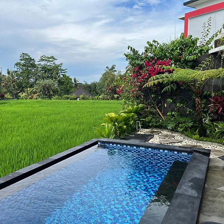 Maple Ridge Ubud Villas エクステリア 写真