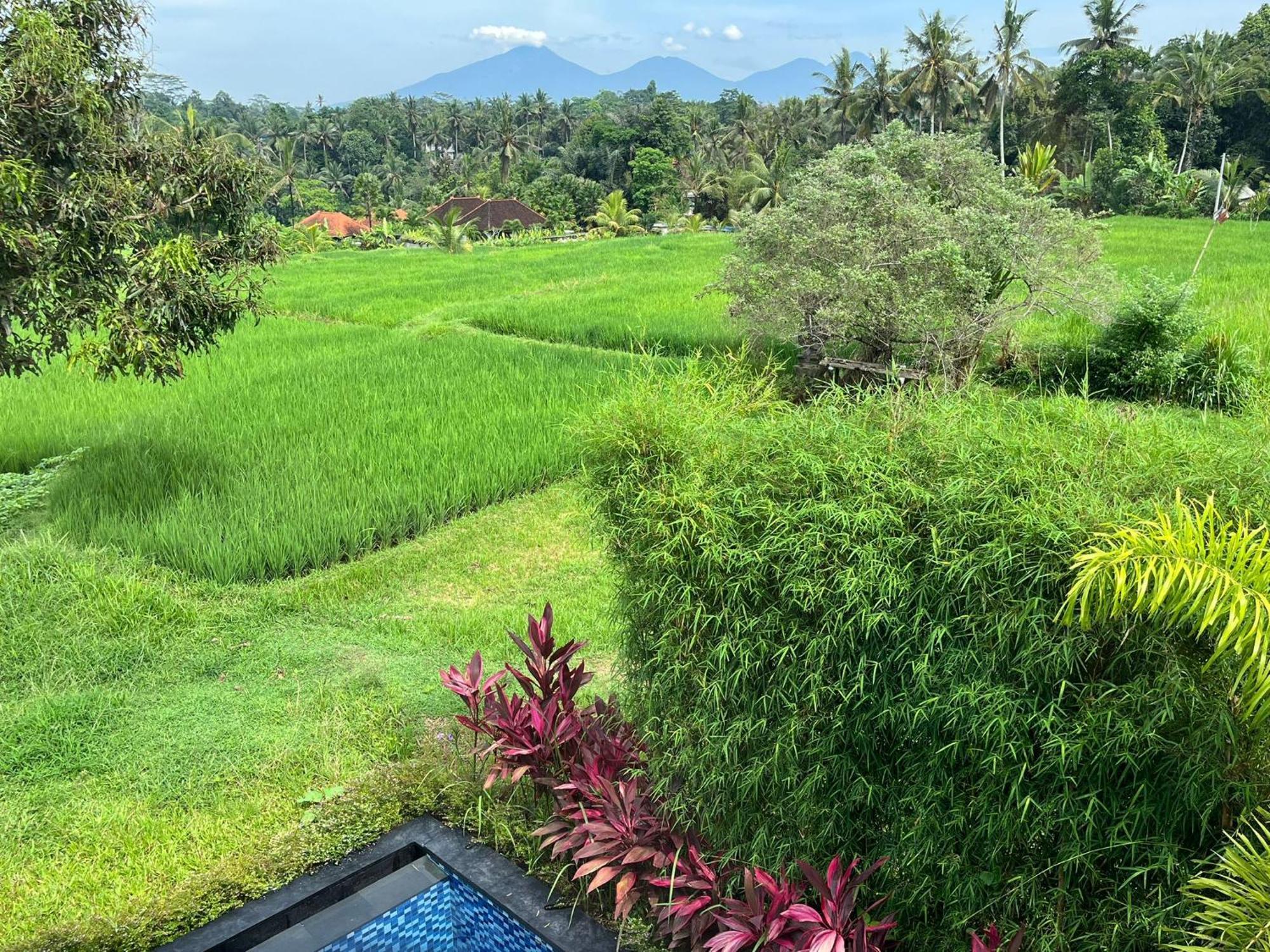 Maple Ridge Ubud Villas エクステリア 写真